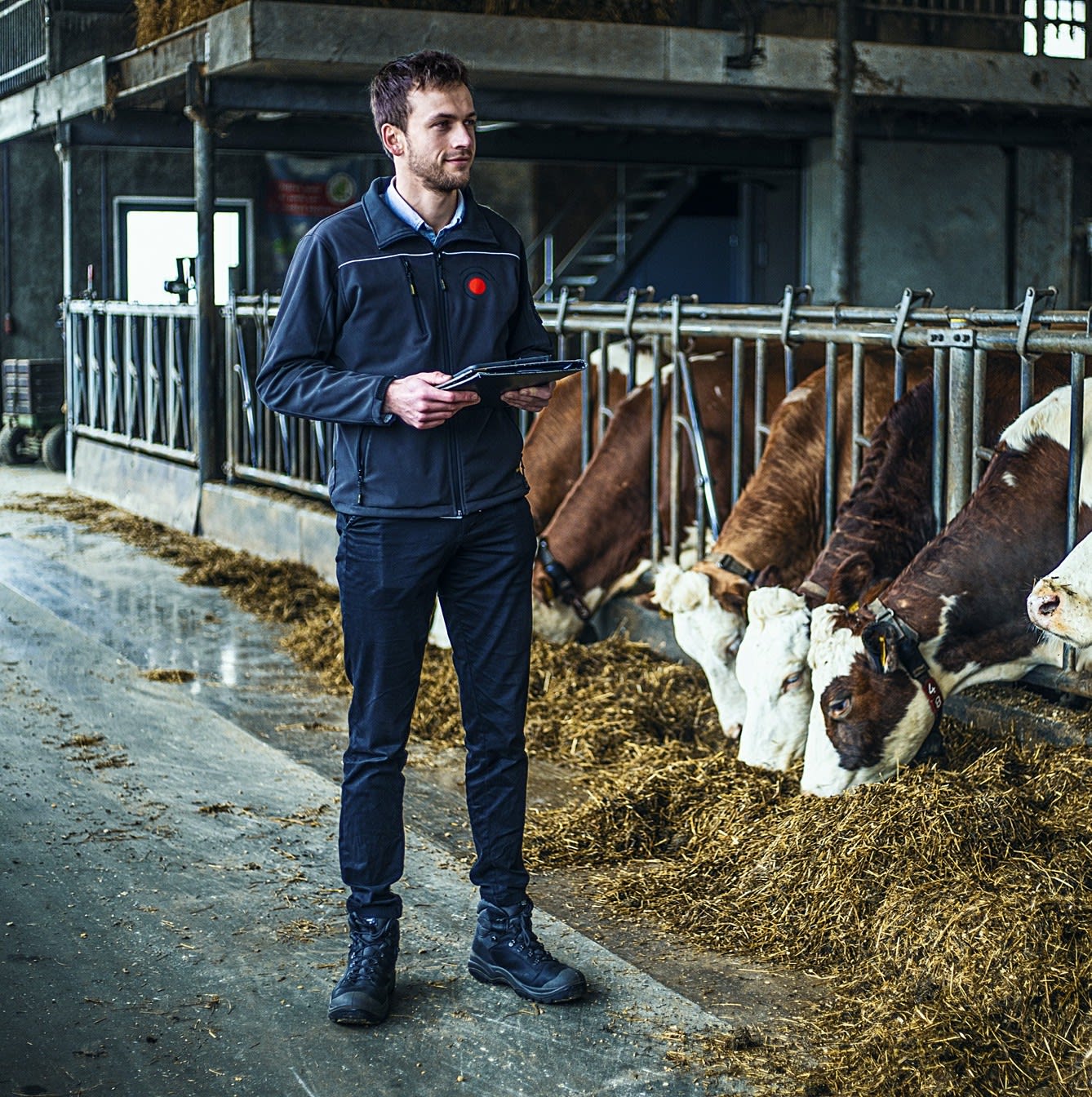 Stikstofuitstoot: als toezichthouder aan tafel bij agrariërs