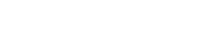 Dyflexis logo