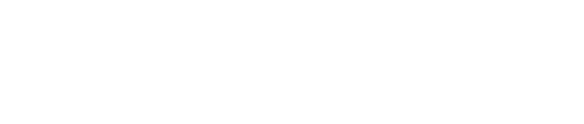 SDZ Druck & Medien GmbH logo
