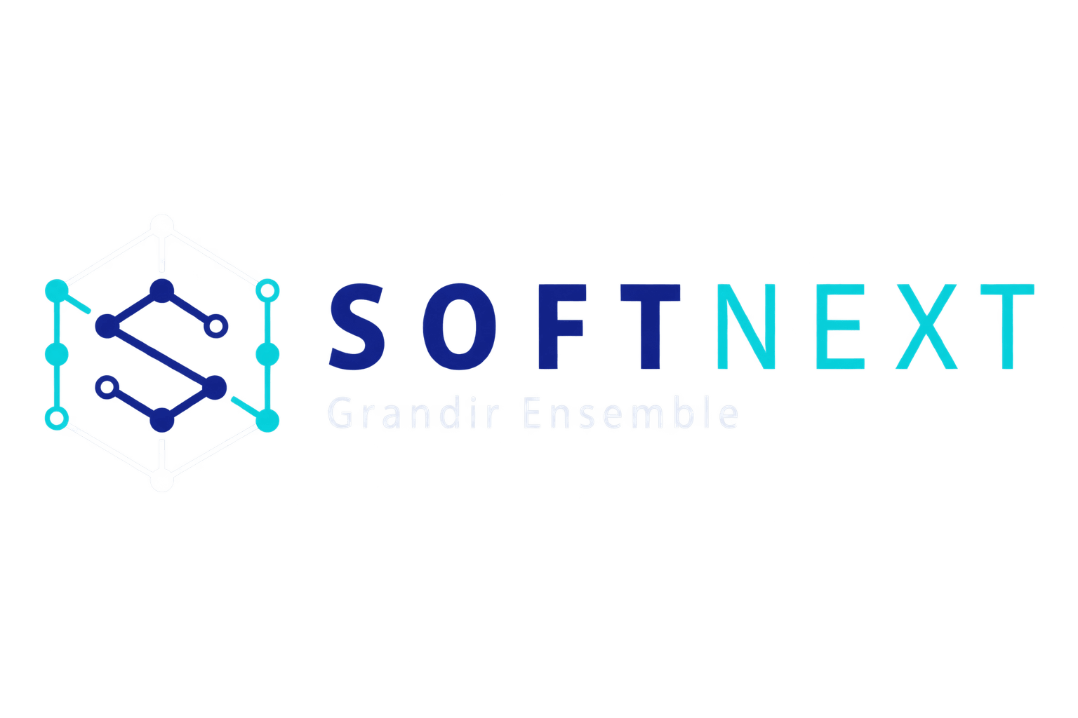 SoftNext Logo