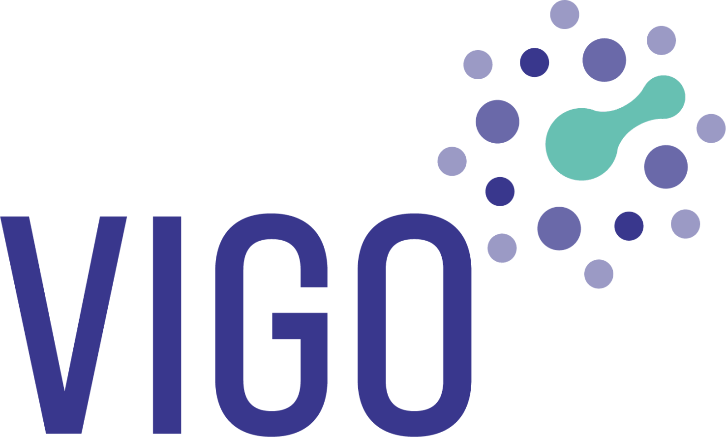 VIGO groep logo