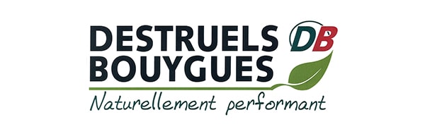 DESTRUELS BOUYGUES