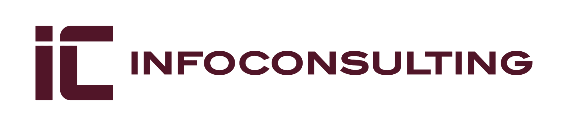InfoConsulting Group logo