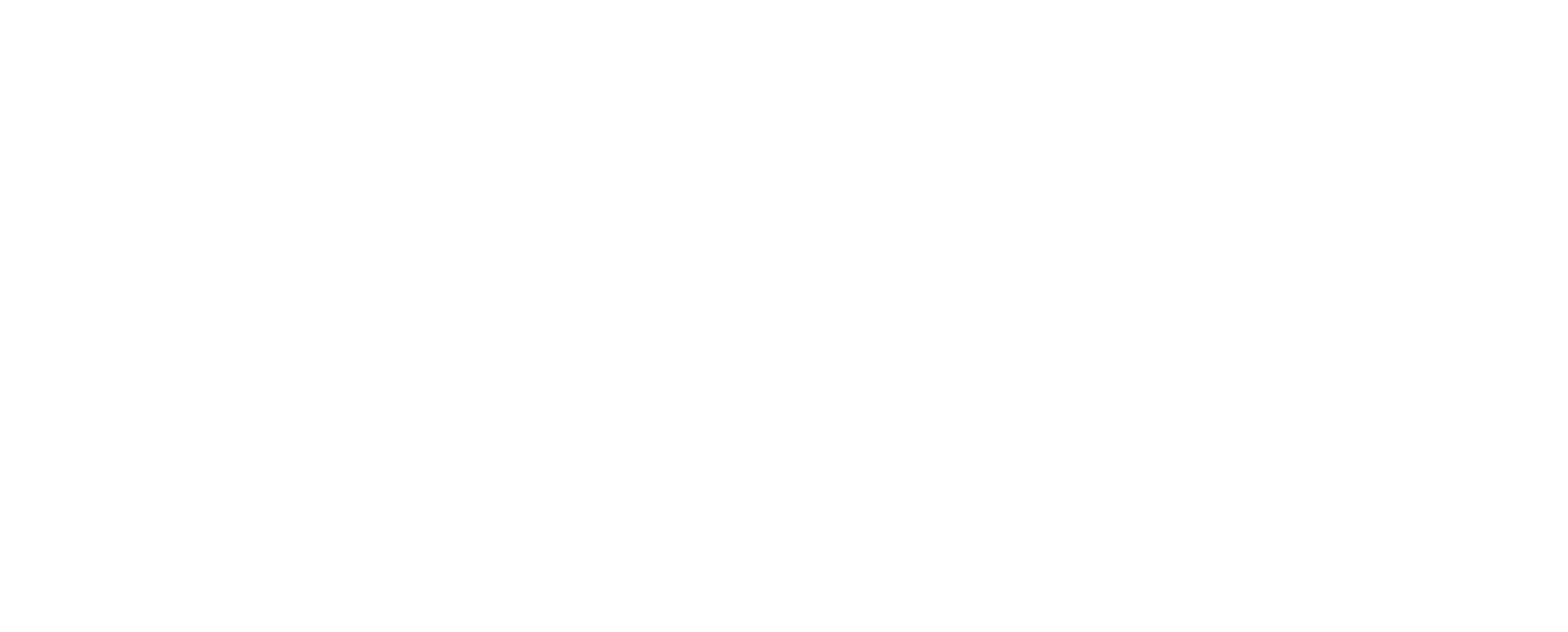 Nomadi Zuid bv logo
