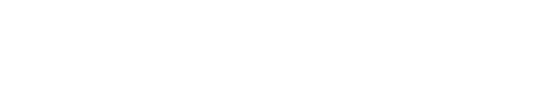 VeriCon logo