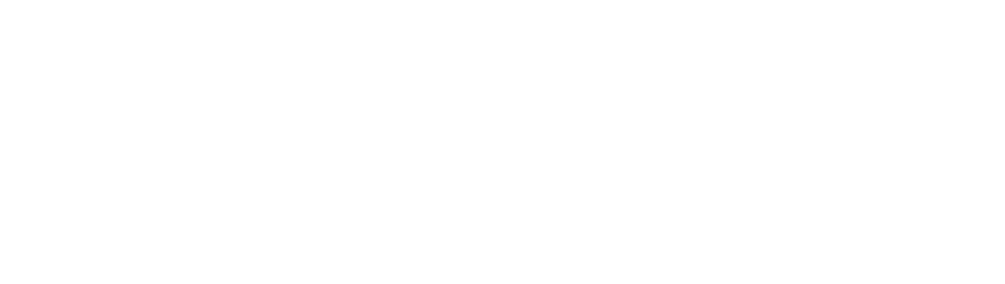 HoSt Group Bioenergy Systems logo