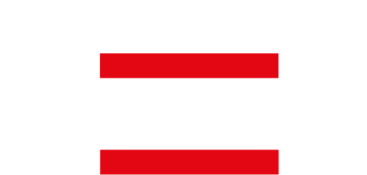 Wach- und Sicherungsdienst in Mecklenburg GmbH und Co. KG logo