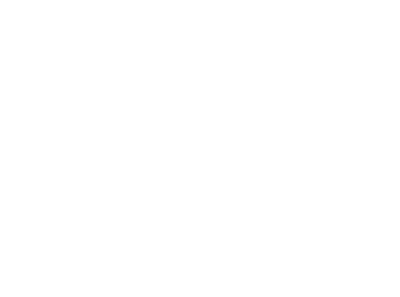 THE ENTOURAGE GROUP logo