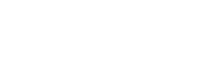 Hot ITem Groep logo