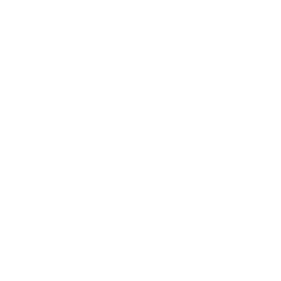 DRS Holding AG logo