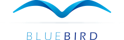 BLUEBIRD Consulting AG logo