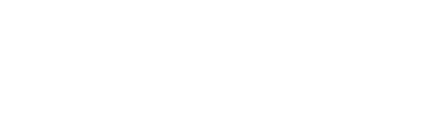 BlueQuo logo