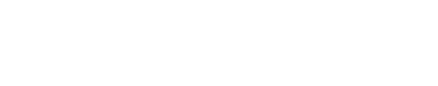 LLInformatics logo