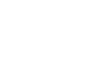 MGI Consultants logo