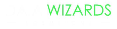 Data Wizards Solution logo