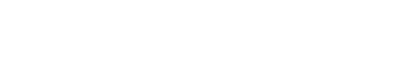 The Safety Network logo