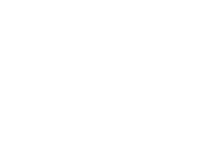 SCHEUNPFLUG - WIR PFLEGEN logo