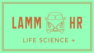 Lamm HR GmbH logo