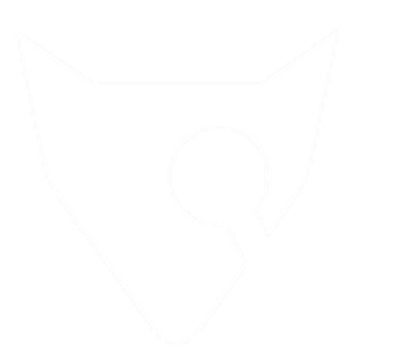 Fox Crypto