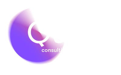 QuBit Consulting & Solutions AG logo