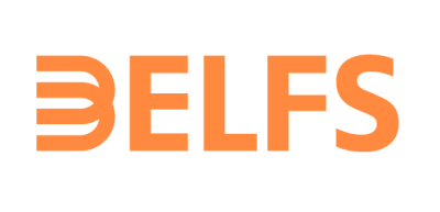 DELFS & PARTNER logo