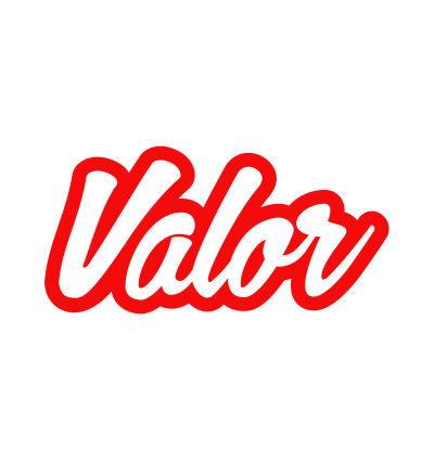 Valor Software logo