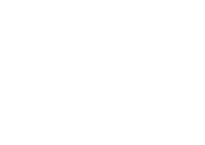 WONINGBORG TOETSING EN TOEZICHT B.V. logo
