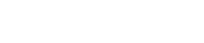 EMERSE SALES US INC logo