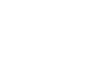 Little Dutch Trading BV logo