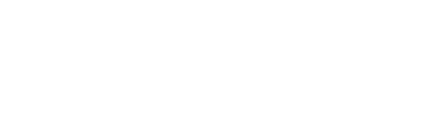 Substantiel Conseil logo