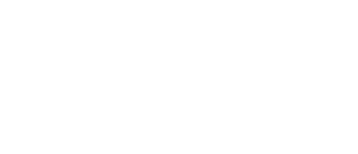bace GmbH logo