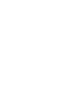 IVY Partners