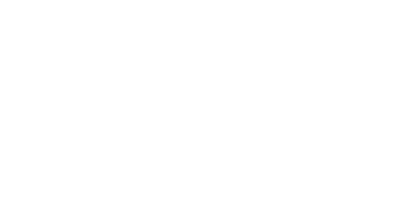 Nesher Shoshan Nadav logo