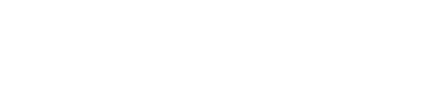 Valsight logo