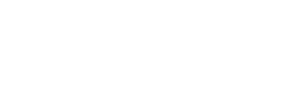 Noldus logo