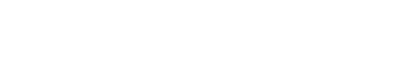 Dyflexis logo