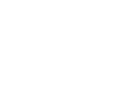 Digital Survival Company logo