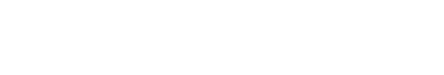 Dyflexis logo