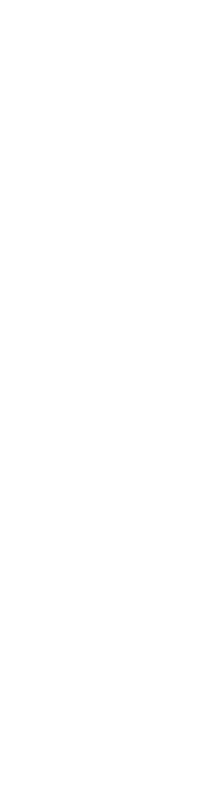 TransPerfect logo