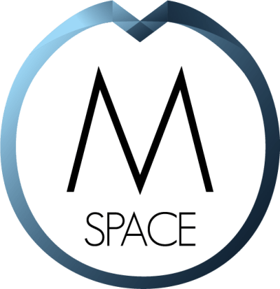 Morpheus Space Inc
