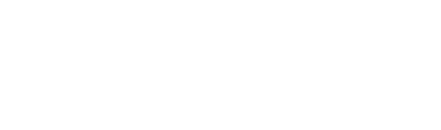 Digital Solutions Consulting GmbH logo