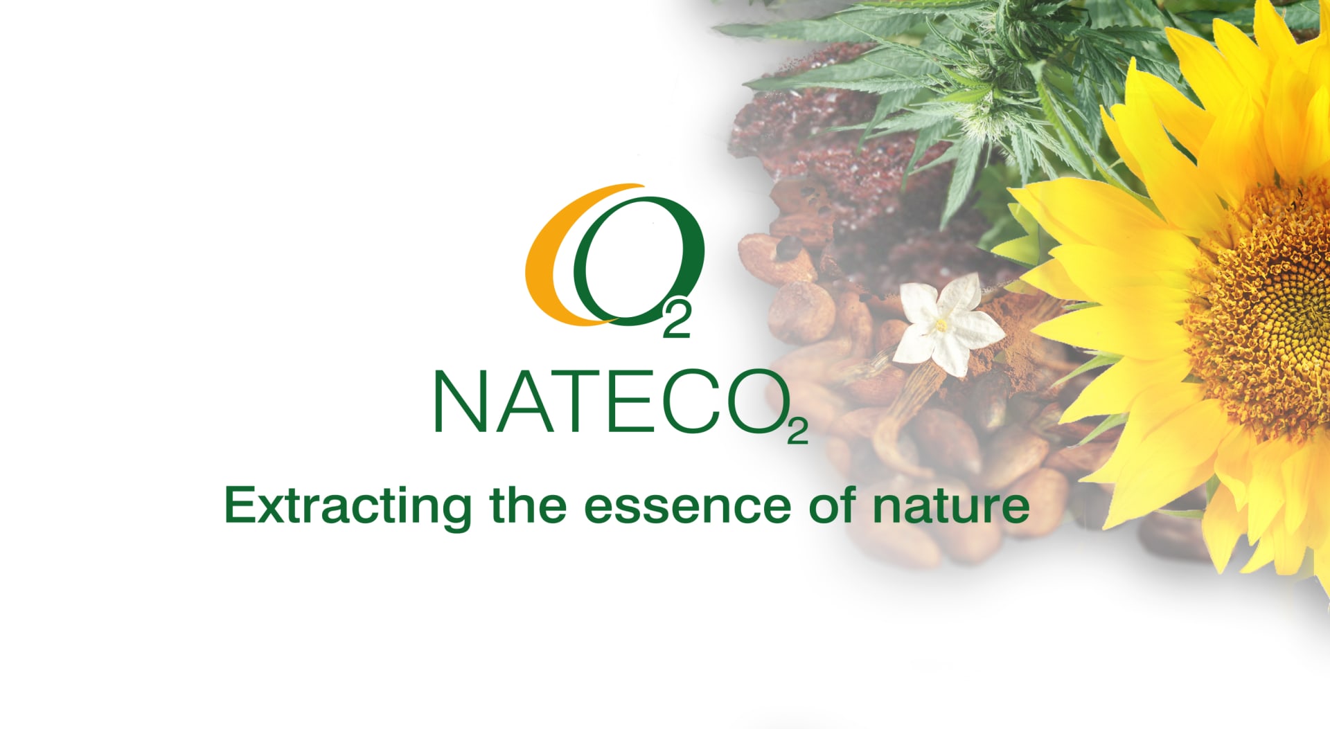 Nateco2 - Hopfenveredlung St. Johann GmbH logo