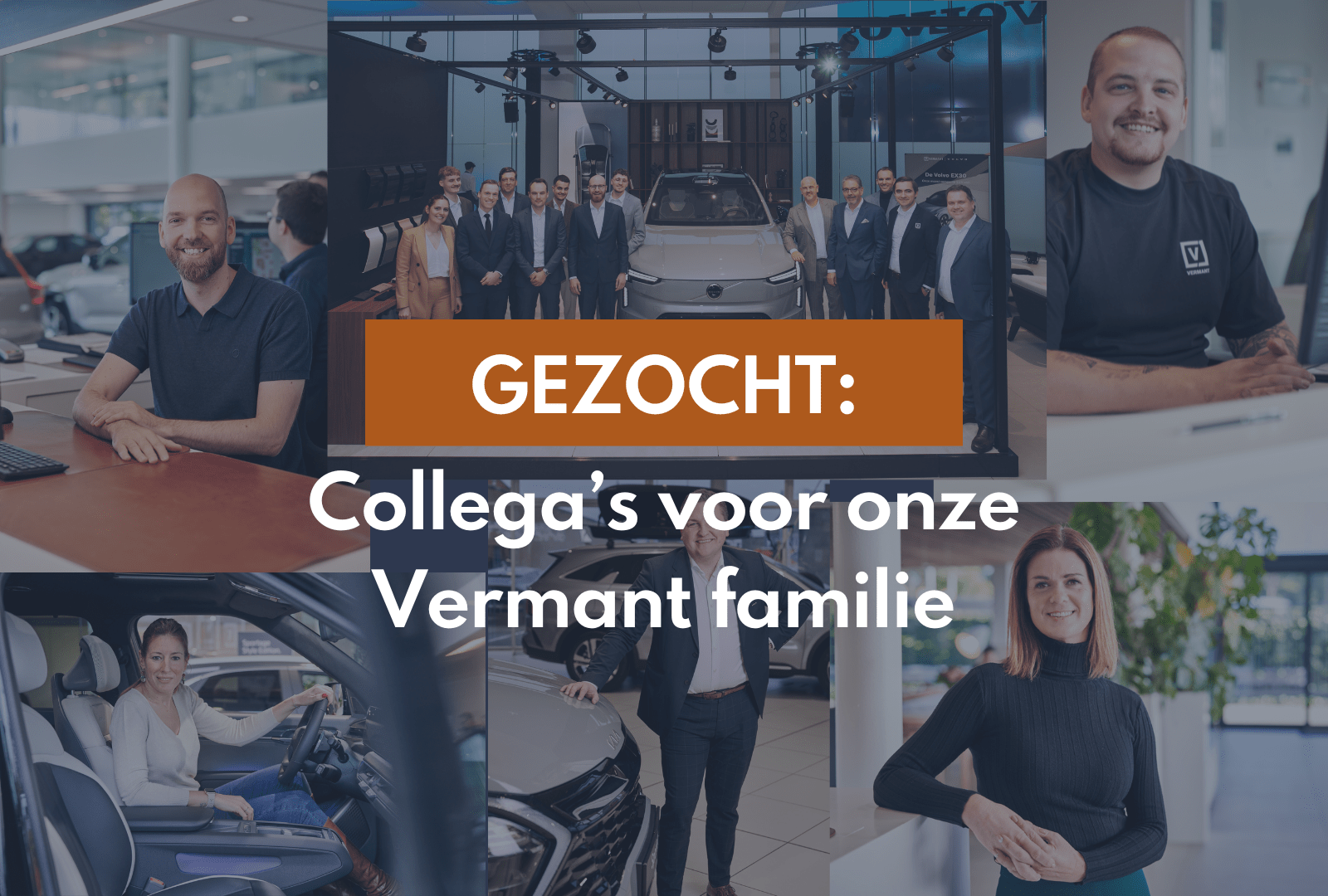(c) Werkenbijvermant.be