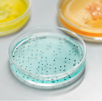 Analist Microbiologie