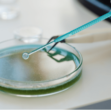 MLO Meewerkstage Microbiologie