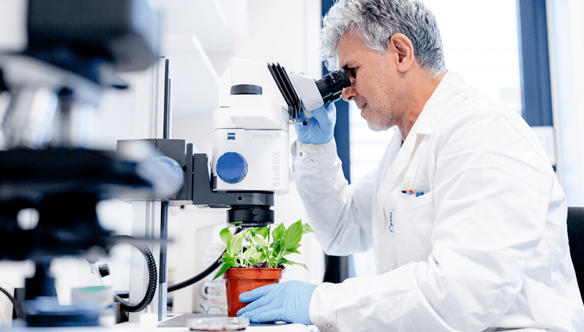 Accountmanager - Laboratory Services