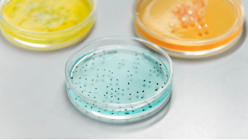 Analist Microbiologie
